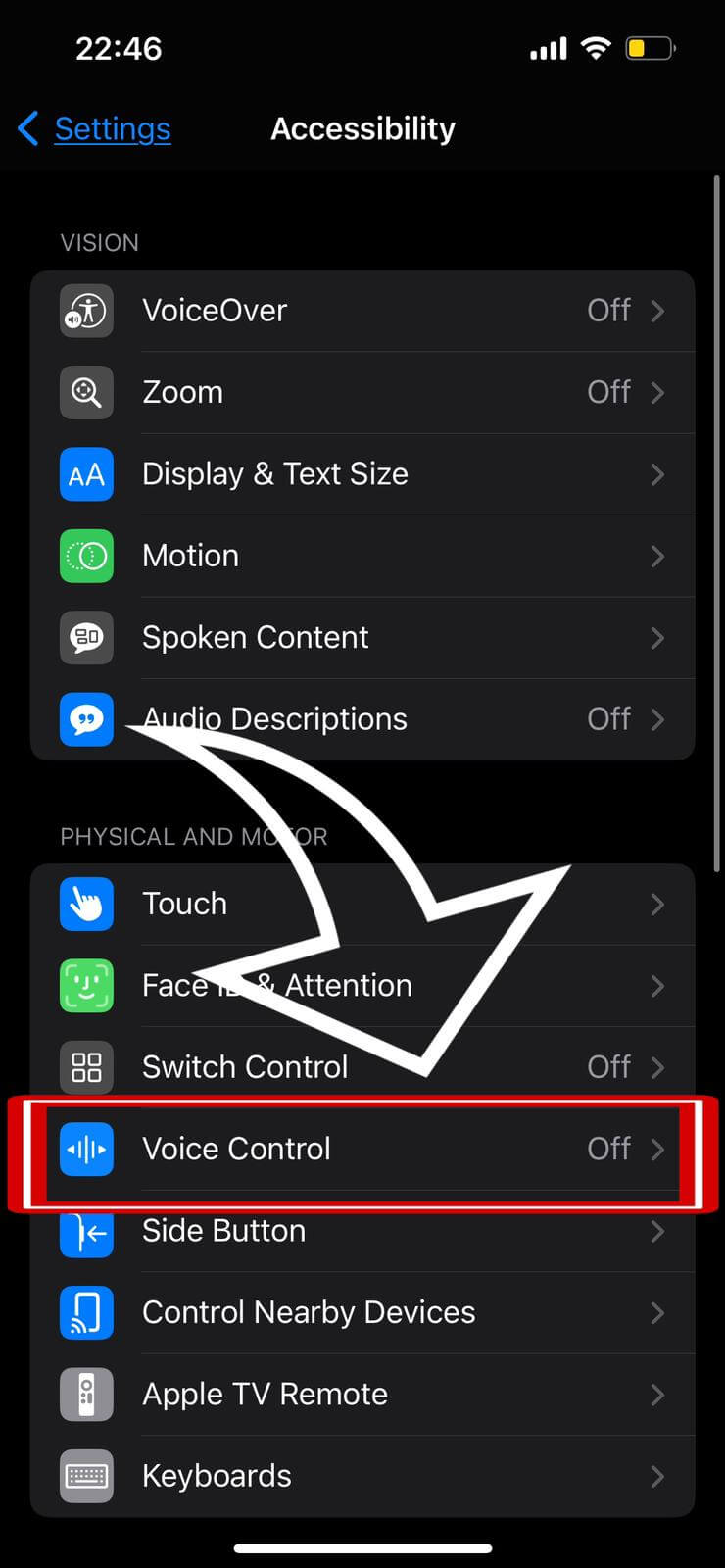 Voice Control Activation