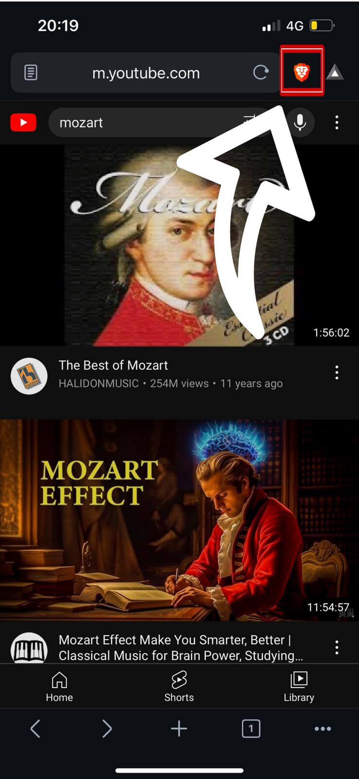 Brave Browser Homepage Icon