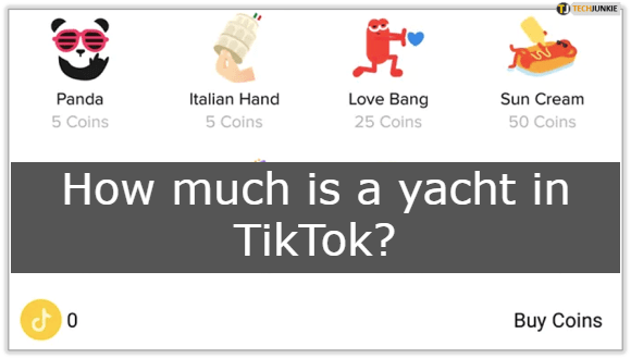 How much is a yacht in TikTok? How much does it make?