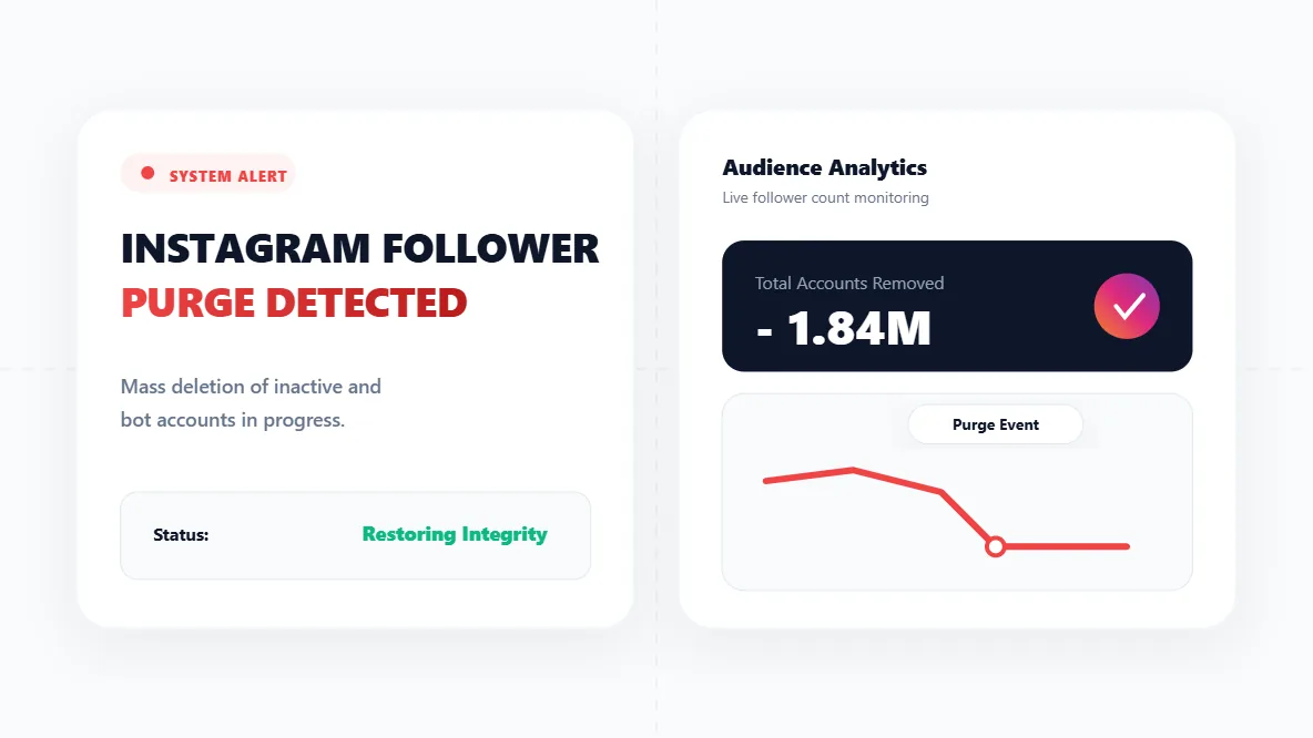 Instagram Follower Purge: How to Recover After a Bot Cleanup