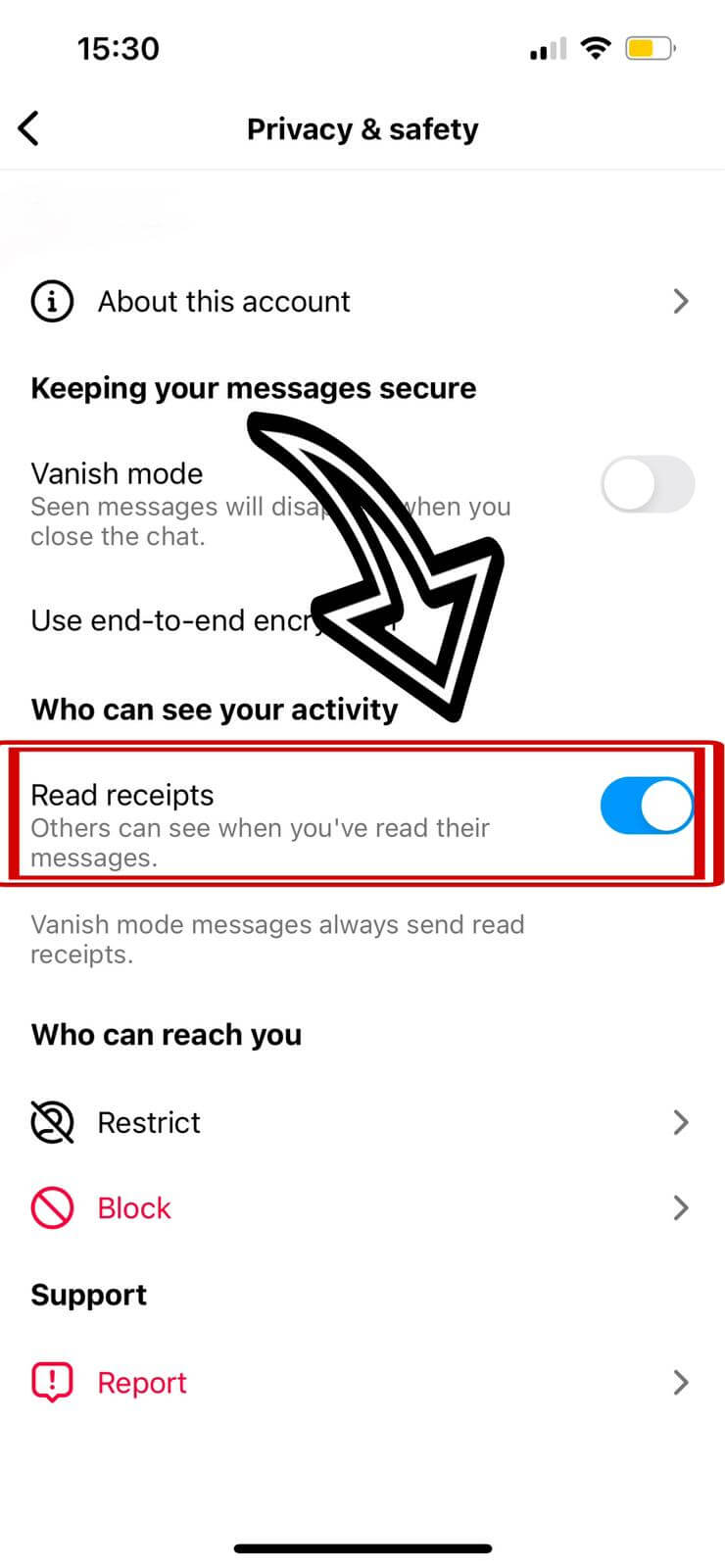 Instagram Dm Disabling Read Receipts
