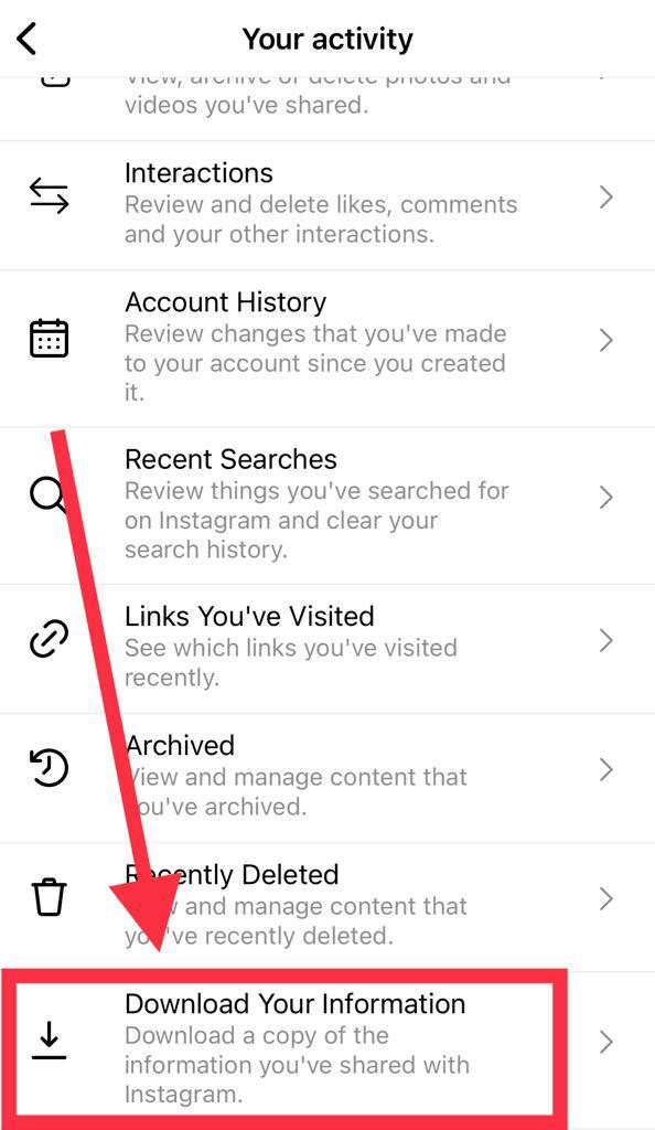 Enter email for Instagram data