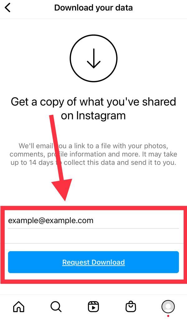 Enter Instagram password