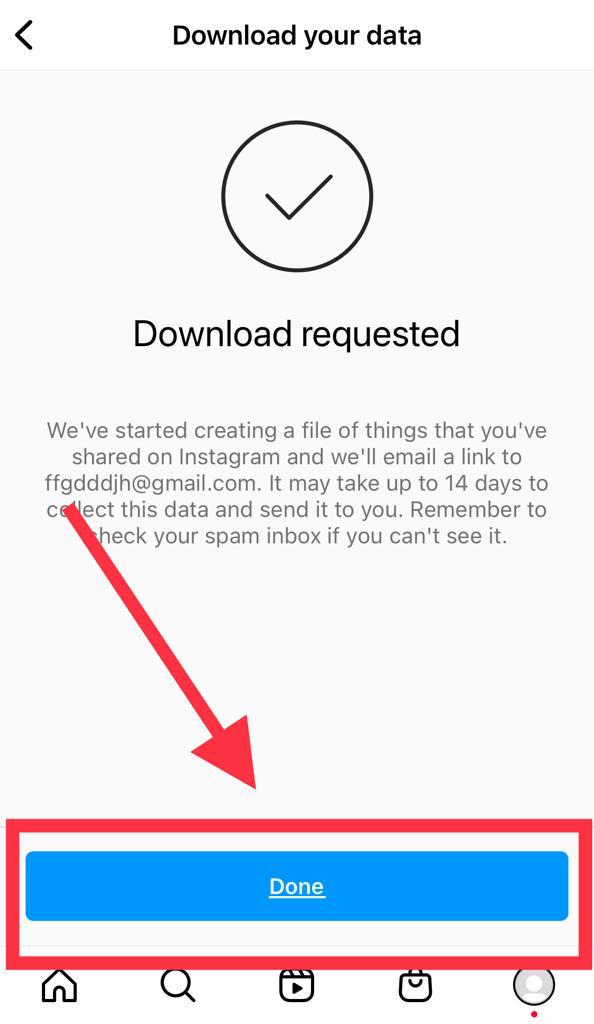 Instagram Data Email