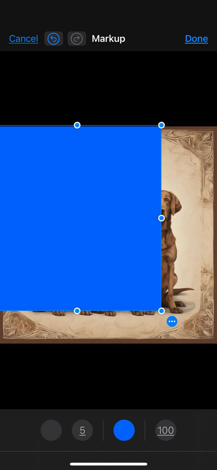 Resizing and coloring the square