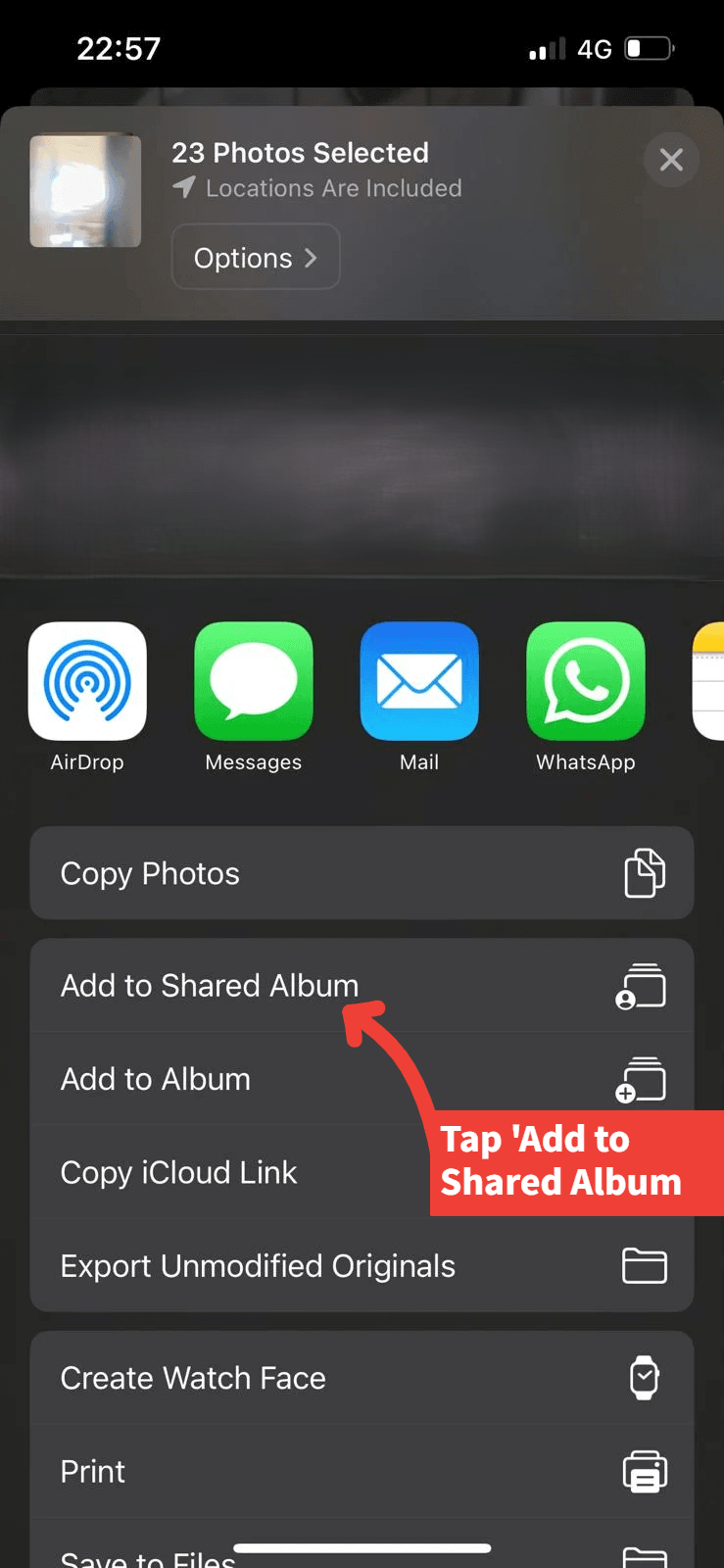 Tap 'Add to Shared Album' from sharing options